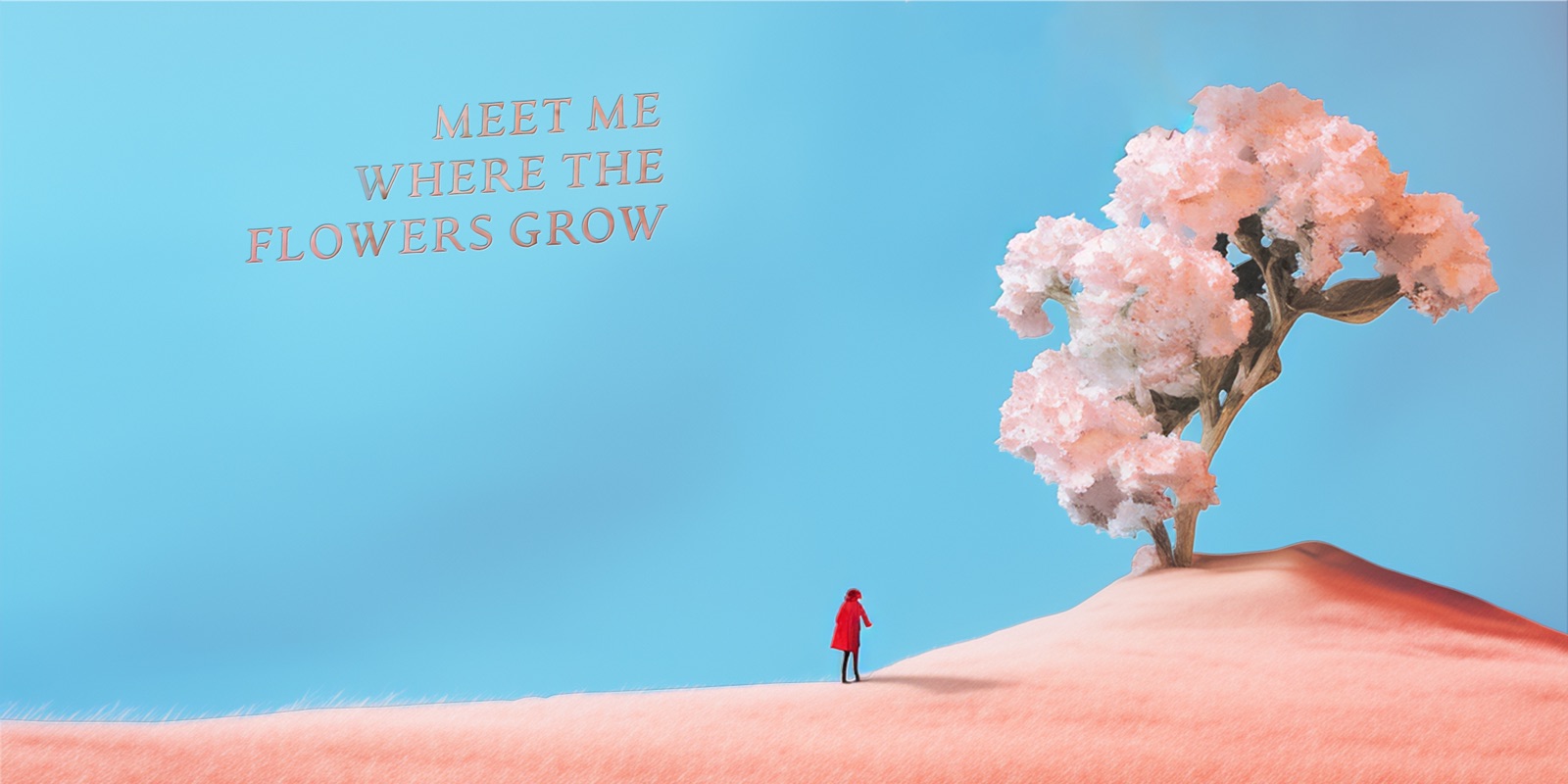 Meet Me